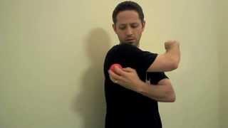 Teres Major Self Myofascial Release - Mike Reinold
