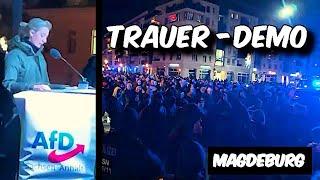 AFD-Demo in Magdeburg 23.12.2024