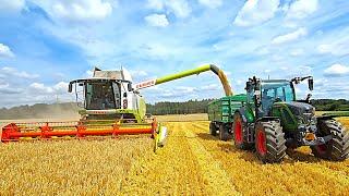 Claas Lexion 650 Harvester & Fendt 516 Vario mit Reisch Kipper bei der Gerste dreschen auf der Alb!