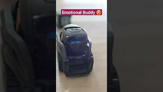 Emotional Buddy Robot 