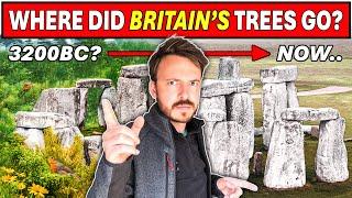 What REALLY Happened to Britain’s Ancient Forests?