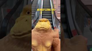 Monkey knows how to ride the escalator!!