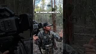 Watching JOHN WICK in the ELK WOODS LOL! Y'all check out this episode! #elkhunting #shorts