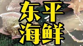 吃海鲜最容易被抓水鱼，今天来到阳江第一站东平渔港，300元封顶开盲盒，大家觉得值不值【老黄来了】