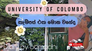 කොළ පාට ගස් අතර කොළඹ කැම්පස් එක | University of colombo | සිංහල Vlog |