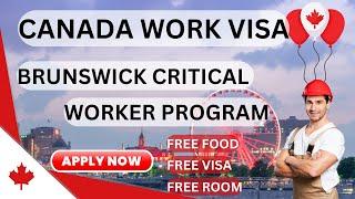 New Brunswick Critical Worker Program | Easiest Pathway to Canada | Settlement Services & Employers