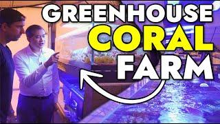 We Visited the ORIGINAL Coral Greenhouse Farm of Tidal Gardens