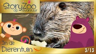 StoryZoo op Avontuur • Beverrat