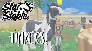 Star Stable - NEW TINKERS!