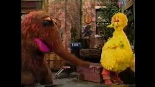 Sesame Street - Big Bird Has The Birdy Pox