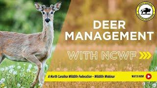 Deer Management and the North Carolina Wildlife Federation