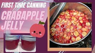 Crabapple Jelly -- My Frist Time Canning