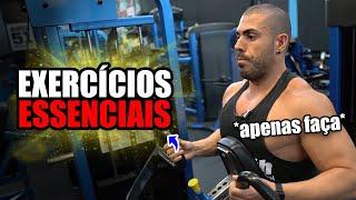 10 exercícios essenciais na musculação