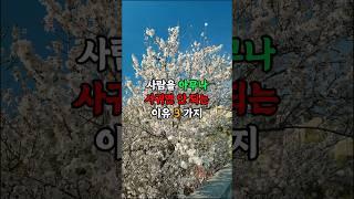 사람을 아무나 사귀면 안 되는 이유 3가지 #현실조언 #명언 #삶의지혜 #인생지혜