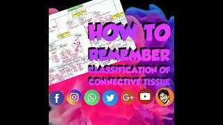 How to Remember Connective Tissue Classification