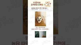 싱글벙글 예상치 못한 카페 일상;;; #웃긴 #웃긴 # #웃음 #웃긴짤 #웃짤 #꿀잼 #케이크 #아아 #아메리카노  #카페 #fun #humor