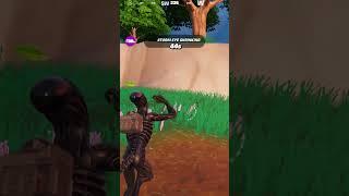 A Day in the Life of Fortnite #1