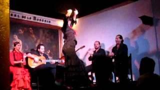 Flamenco! (part 5)