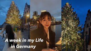 [Vlog #4] 독일일상 | Germany | 유학생브이로그 | 트리를 봐야 크리스마스느낌 | 무수분수육, 떡국, 토마토달걀볶음밥 | H&M 미니하울 | 초간단 GRWM