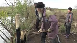 Сваи осмолить отработкой, забить и засаманить  -  получится "пломба".  30. 09.2017