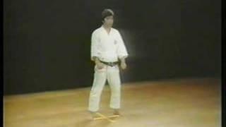 Bassai Sho - Shotokan Karate