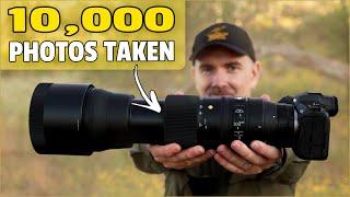 Sigma 150-600mm Contemporary Review for Bird and Wildlife Photography