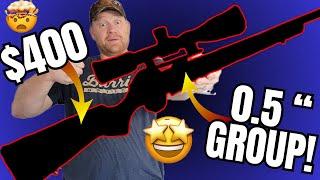 Gun Snobs HATE this Rifle!!! [With Full Ammo Test]