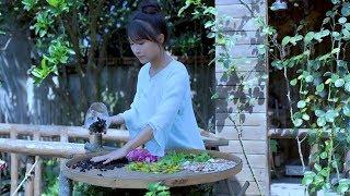 Herbal tea. A cup of it in summer can clear away the heat and relieve greasiness. | Liziqi Channel