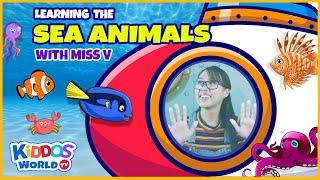 Learn the Sea Animals | Fun Facts about Sea Animals | Exploring the Marine Life with Miss V