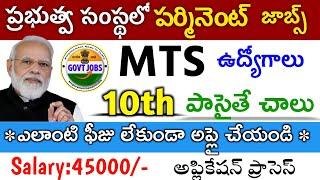 MTS Jobs Recruitment Notification | 10th pass | Govt Jobs 2024| Free Jobs In Telugu