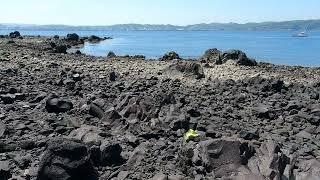 【日本の遊歩百選】桜島 溶岩なぎさ遊歩道