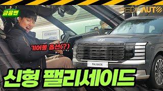 신형 팰리세이드 9인승 타봤더니? // 팰리세이드, 9인승, 7인승, 현대자동차, 2.5터보 하이브리드