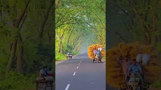 #প্রকৃতির  অপরূপ সুন্দর্যে: এক নৈসর্গিক যাত্রা || Nature's Magnificent Beauty #trending #viralvideo