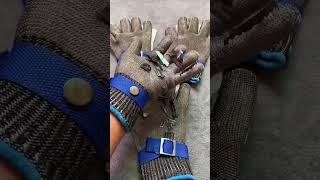 Stainless Steel Cut Resistant Gloves