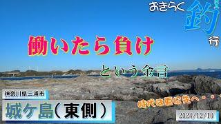 【#城ヶ島】#おきらく釣行【2024/12/10】