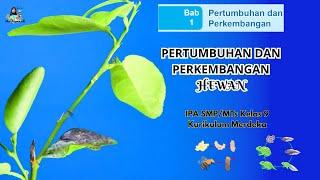 BAB 1 Pertumbuhan dan Perkembangan Hewan || IPA SMP/MTs Kelas 9 Kurikulum Merdeka