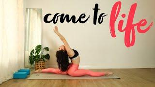 Come To Life  60 Minute Vinyasa Flow to Hanumanasana Full Splits | Open Your Hips & Hamstrings