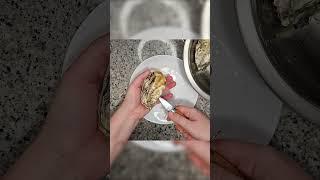 Как открыть устрицы. Устрицы #обжора #рецепты#устрицы#какоткрытьустрицы#обжорарецепты