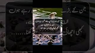 Heart Touching Urdu Quotes About Life| Amazing quotes collection|islamic quotes in urdu|Aqwalezareen