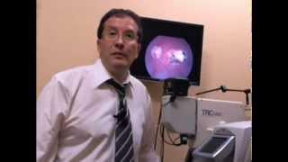 Eye Doctor Tampa, FL | Absolutely Optical | Eyeglasses Tampa