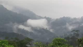 Jaguares en la Sierra Madre de Chiapas