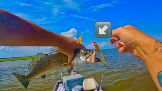 The most overlooked lure for speckled trout! (Inshore slam!)