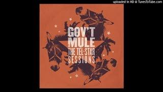 Gov't Mule - Mother Earth