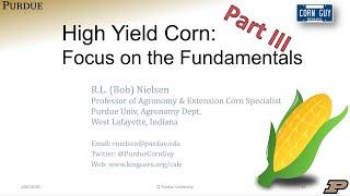 High Yield Corn: Focus on the Fundamentals / Part 3