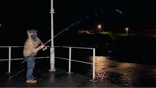 FISH ON at AMLWCH BREAKWATER️ UK Sea Fishing