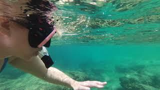 Snorkelling with Gabriella Experience I [The Culture Cave Ocean Experiences]