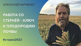 Александр Харченко: «Работа со стернёй – ключ к плодородию почвы»