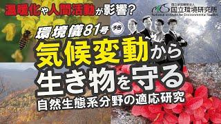 気候変動から生き物を守る 自然生態系分野の適応研究｜環境儀81号