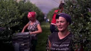 Heathlands Farm Recruitment Video - Romanian Translation