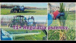 Regulacja i zabieg T1 w pszenicy. Kolanko uciekło!!! John Deere 6170M/Agrio Mamut 6000